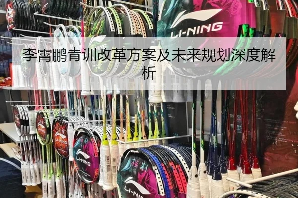 李霄鹏青训改革方案及未来规划深度解析